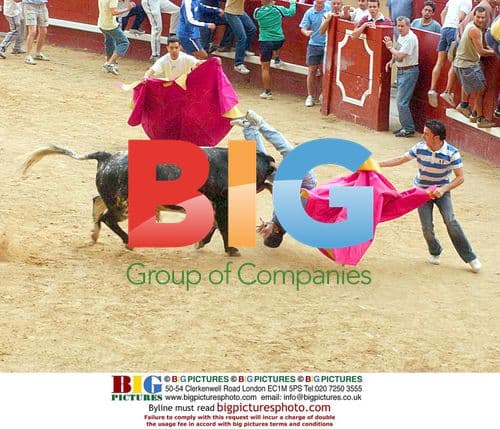 Festival of the Virgins of Butarque