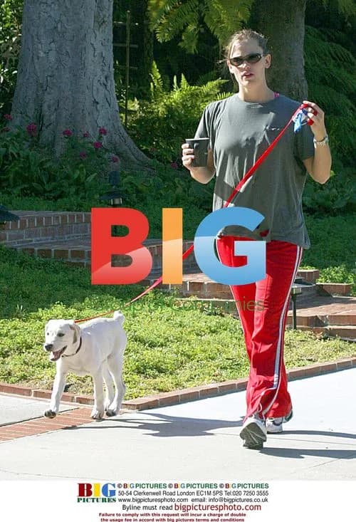 Jennifer Garner walks dog