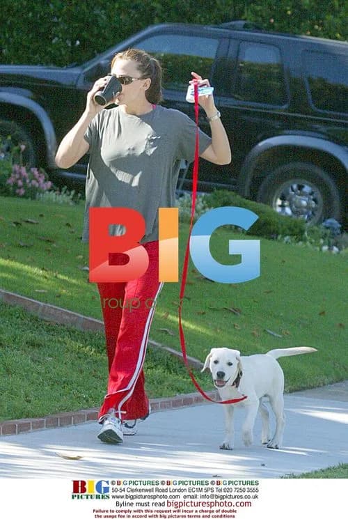 Jennifer Garner walks dog