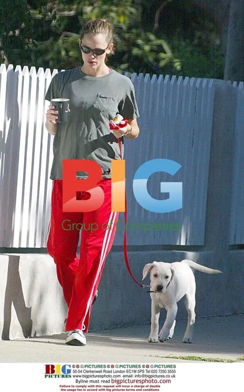 Jennifer Garner Walks Dog