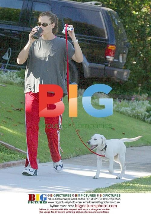 Jennifer Garner walks puppy in Pacific Palisades