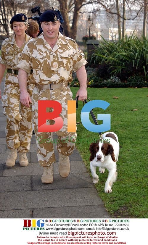 British Army Dog Awarded Victoria Cross