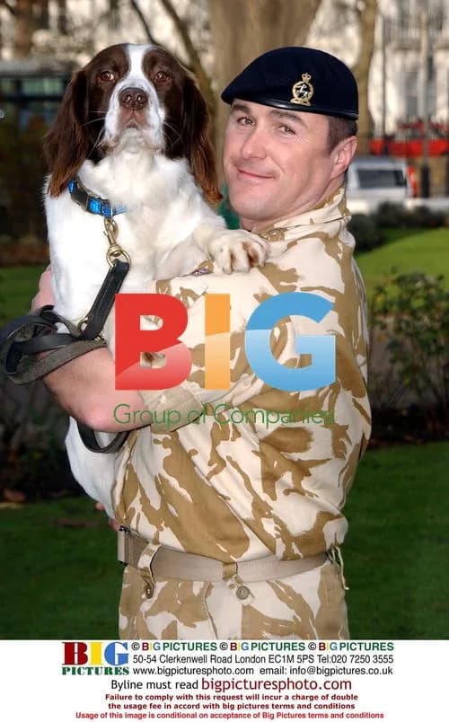 British Army Dog Awarded Victoria Cross