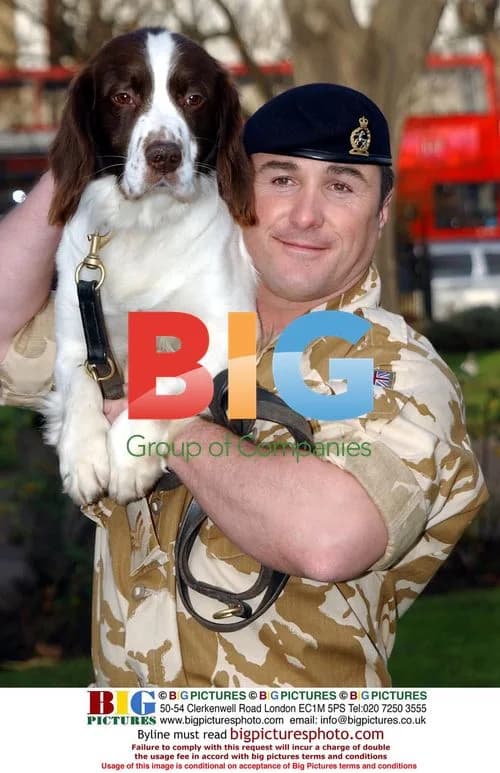 British Army Dog Awarded Victoria Cross