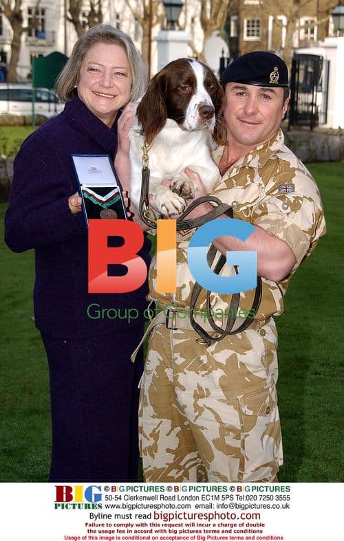 British Army Dog Awarded Highest Honor