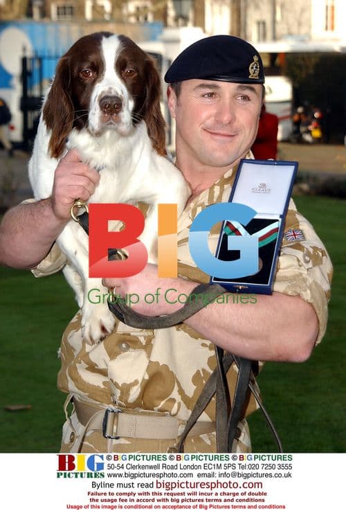 British Army Dog Awarded Top Medal