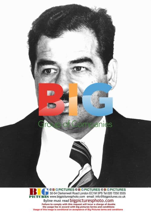 Captured Saddam Hussein