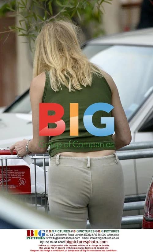 Goldie Hawn Shopping for Pregnant Kate Hudson