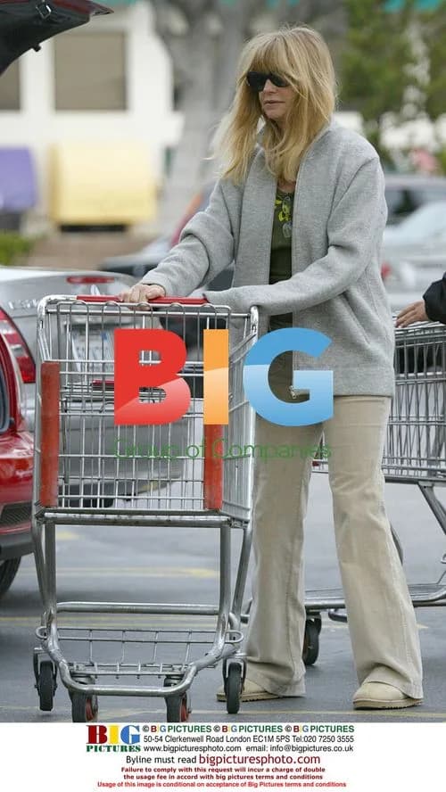 Goldie Hawn shopping for pregnant daughter Kate Hudson