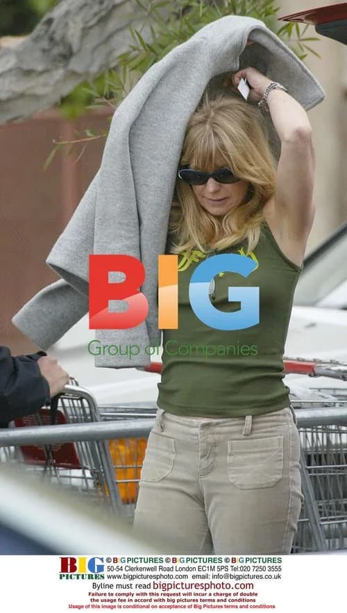 Goldie Hawn Shopping for Pregnant Daughter Kate Hudson