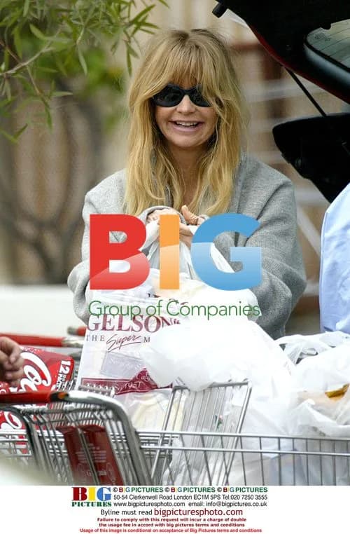 Goldie Hawn shops for pregnant daughter Kate Hudson