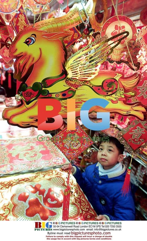 Child in Blue Jacket at Sheep Exhibit