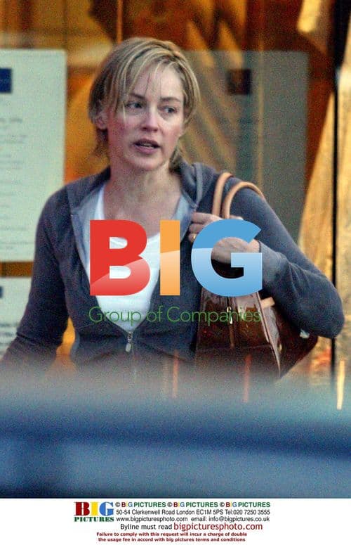 Sharon Stone shopping in Beverly Hills