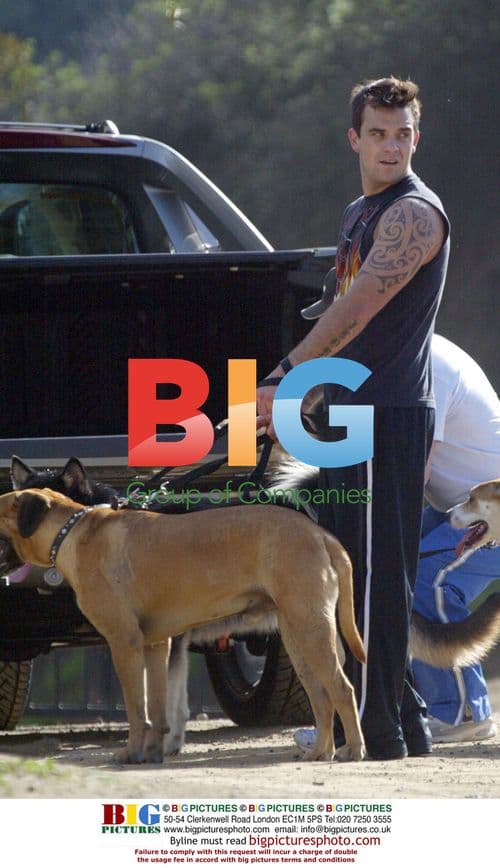 Robbie Williams Walks Dogs in Hollywood