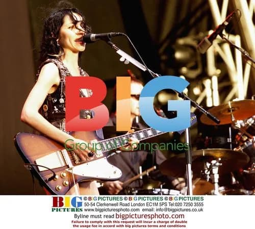 PJ Harvey Performs at Big Day Out in Perth