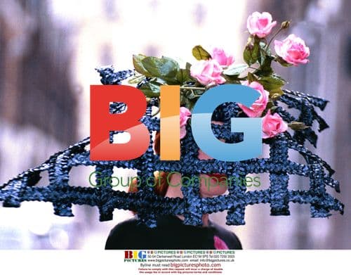 Victor Evelstein Fashions Feature