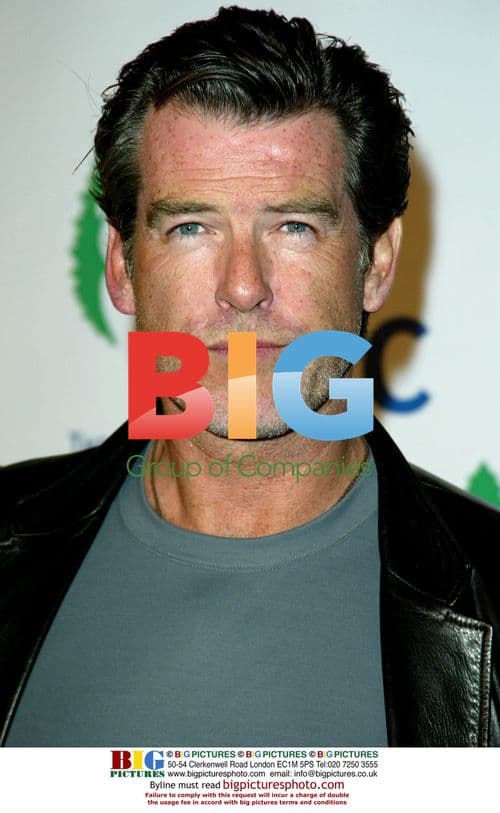 The Rolling Stones Concert