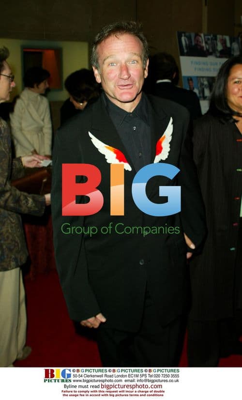 Robin Williams at Billy Crystal Tribute