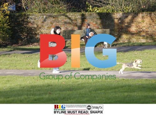 TV Presenter Sue Perkins Walking Dog in North London