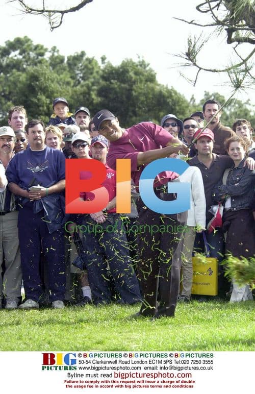 Tiger Woods wins Buick Invitational