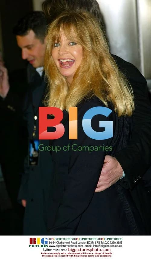 Goldie Hawn at 'Dark Blue' Premiere