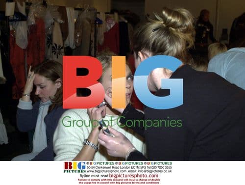 Lizzo Takes Selfie with Fans