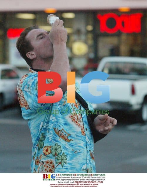 Arnold Schwarzenegger Enjoys Ice Cream After Daughter's Dance Recital