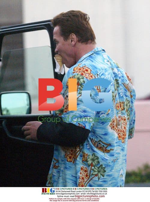 Arnold Schwarzenegger Enjoys Ice Cream
