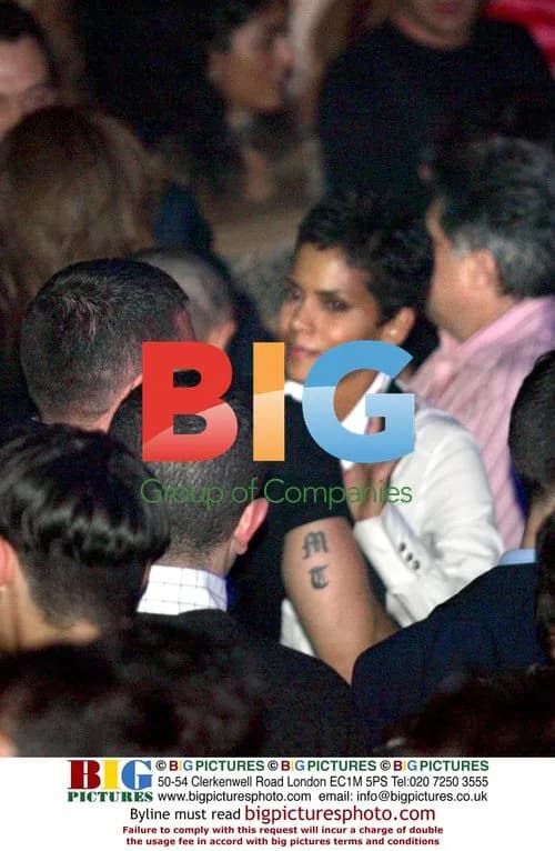 Halle Berry at Film Premiere