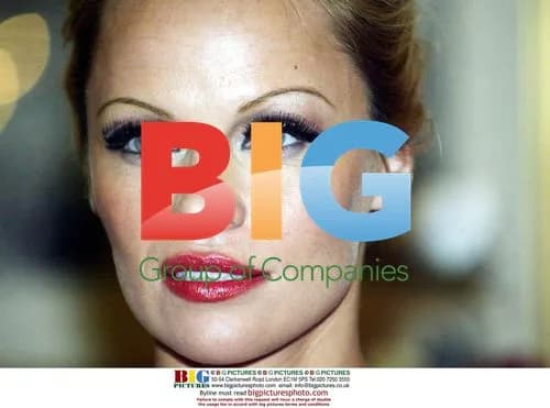 Pamela Anderson at Vienna Opera Ball
