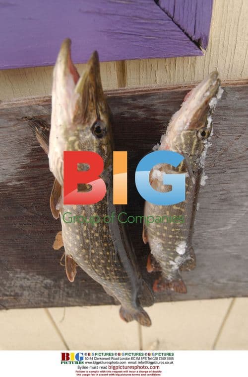 Fishermen Ice Fishing on Smith Lake