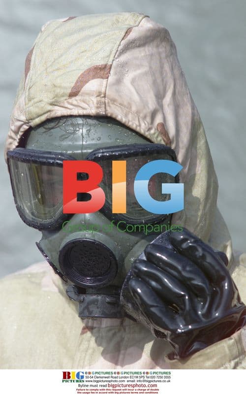 Celebrities at Movie Premiere