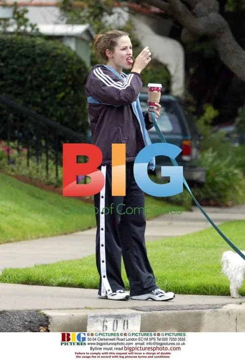 Jennifer Garner and husband Scott Foley out with dogs
