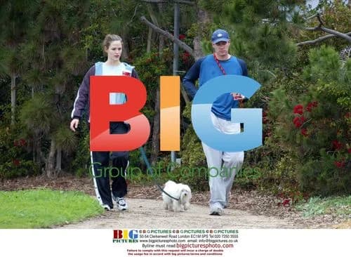 Jennifer Garner and Scott Foley with dogs