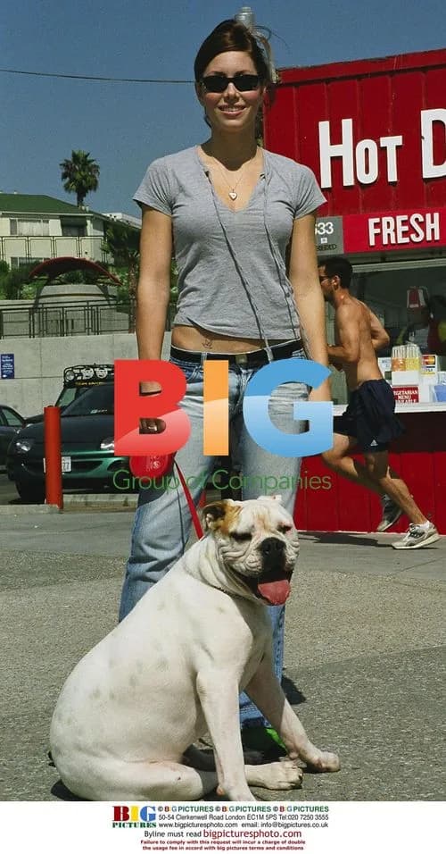 Jessica Biel with Dog on Santa Monica Pier