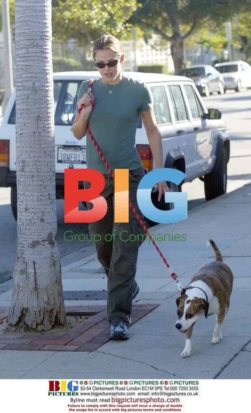 Jennifer Garner walking dogs in Pacific Palisades