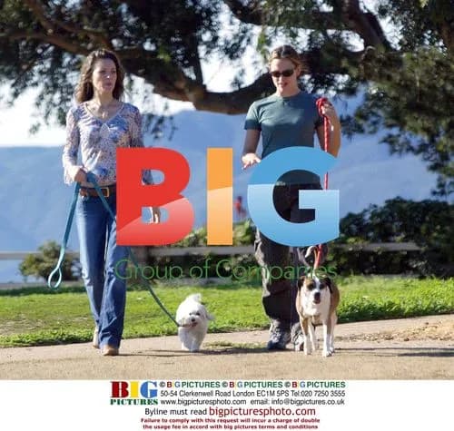 Jennifer Garner out with friend, walking dogs