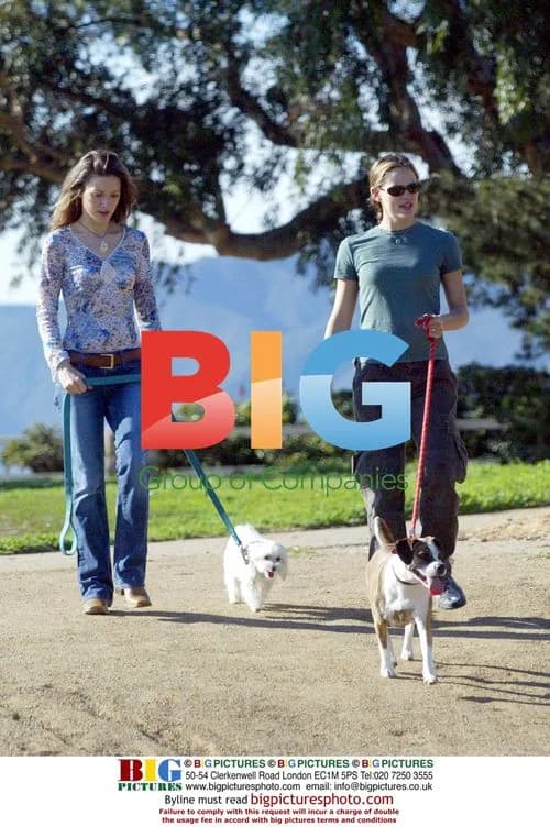 Jennifer Garner walking dogs in Pacific Palisades