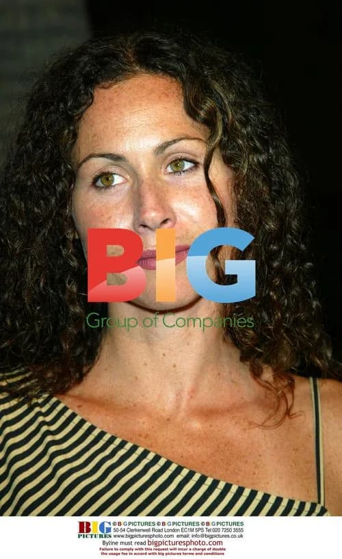 Minnie Driver at Moonlight Mile Premiere