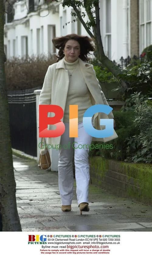 Liz Hurley and baby Damien leaving home