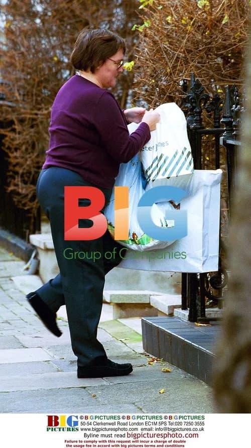 Elizabeth Hurley Shopping in London