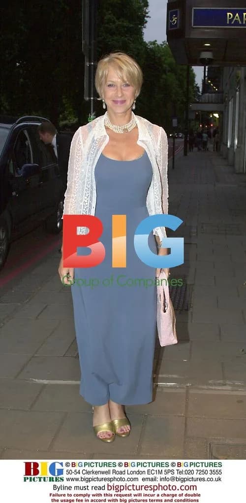 Helen Mirren at 'Police Bravery' Awards