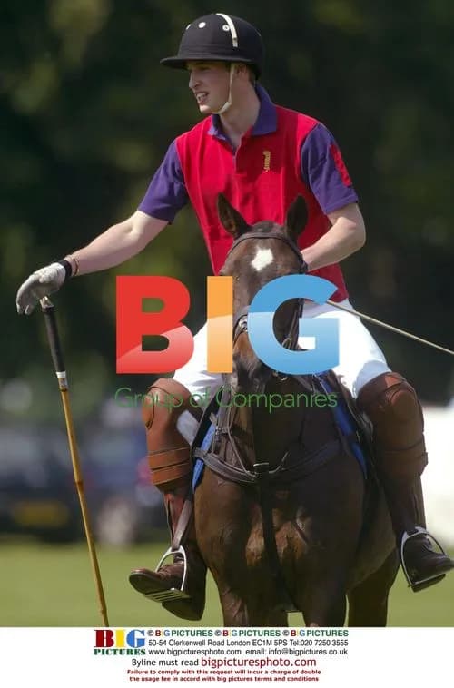Prince William at Charity Polo Match