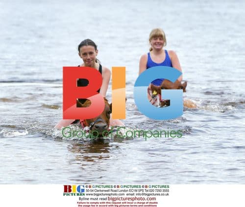 Swedish Girls Ride Calves