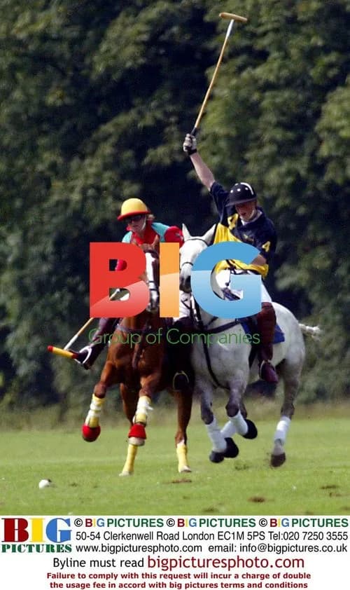Prince Harry Playing Polo