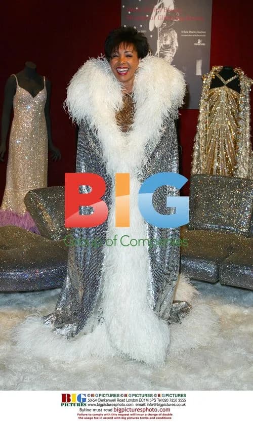 Shirley Bassey Auctions Charity Frocks