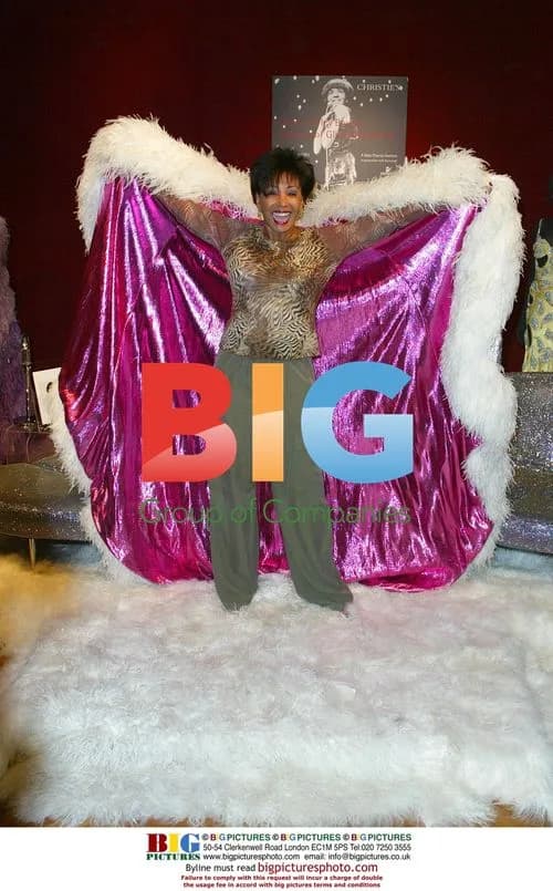 Shirley Bassey at Charity Auction