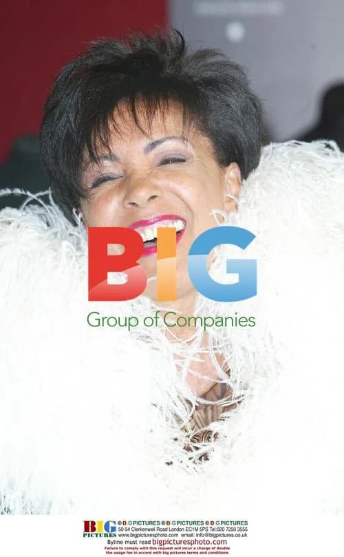 Shirley Bassey Auctions Party Frocks