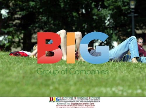 Actress Samantha Janus sunbathing in park