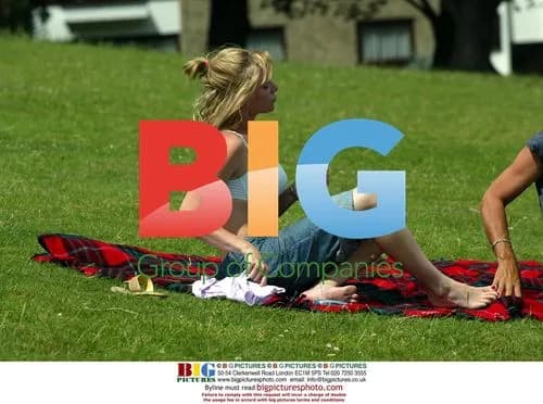 Samantha Janus Sunbathing in Park